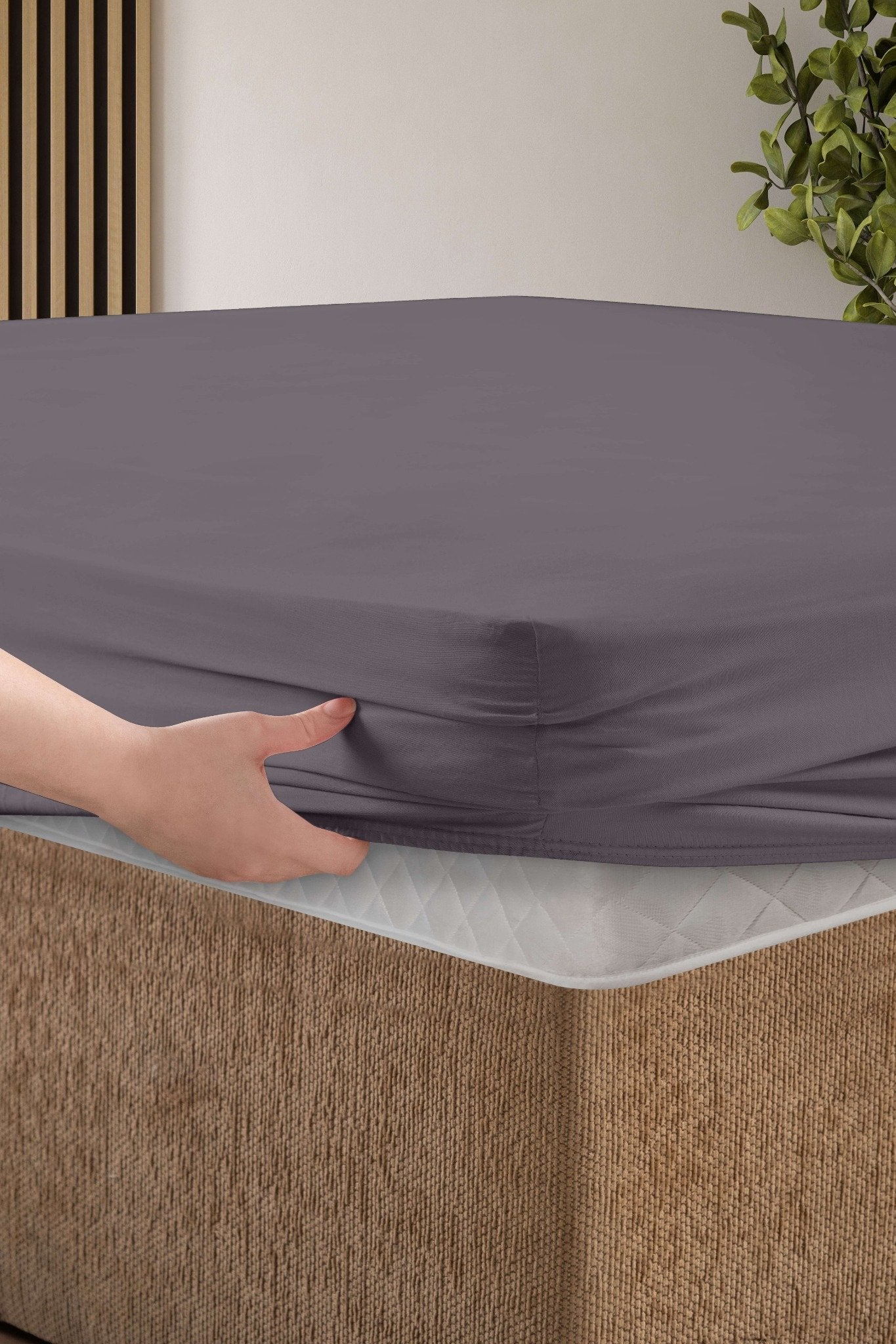 Quicksilver Fitted Bed Sheet Set